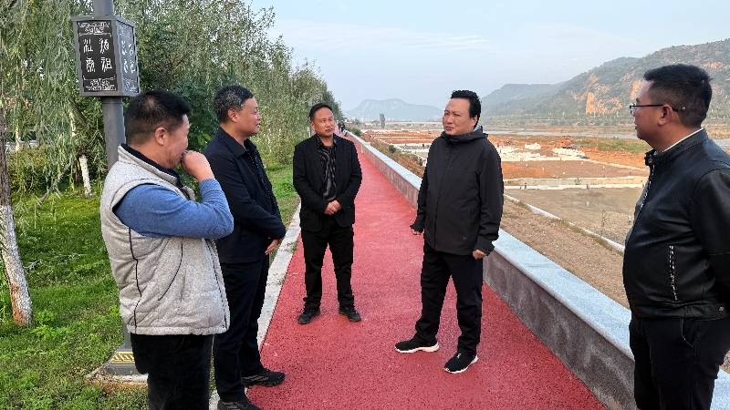 中心领导到汝阳项目一线开展调研指导